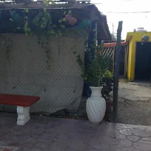 https://hostal-y-camping-las-g.quintano-roohotels.com